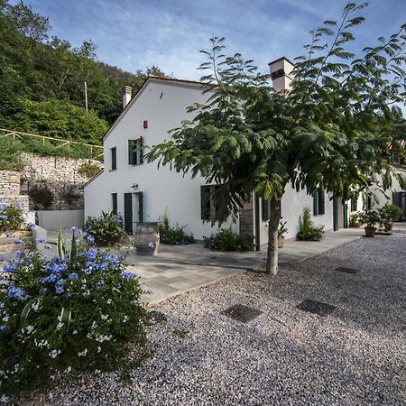 Agriturismo Le Volpi Baone Ngoại thất bức ảnh