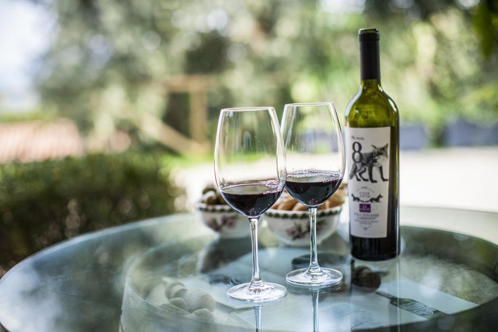 Agriturismo Le Volpi Baone Ngoại thất bức ảnh