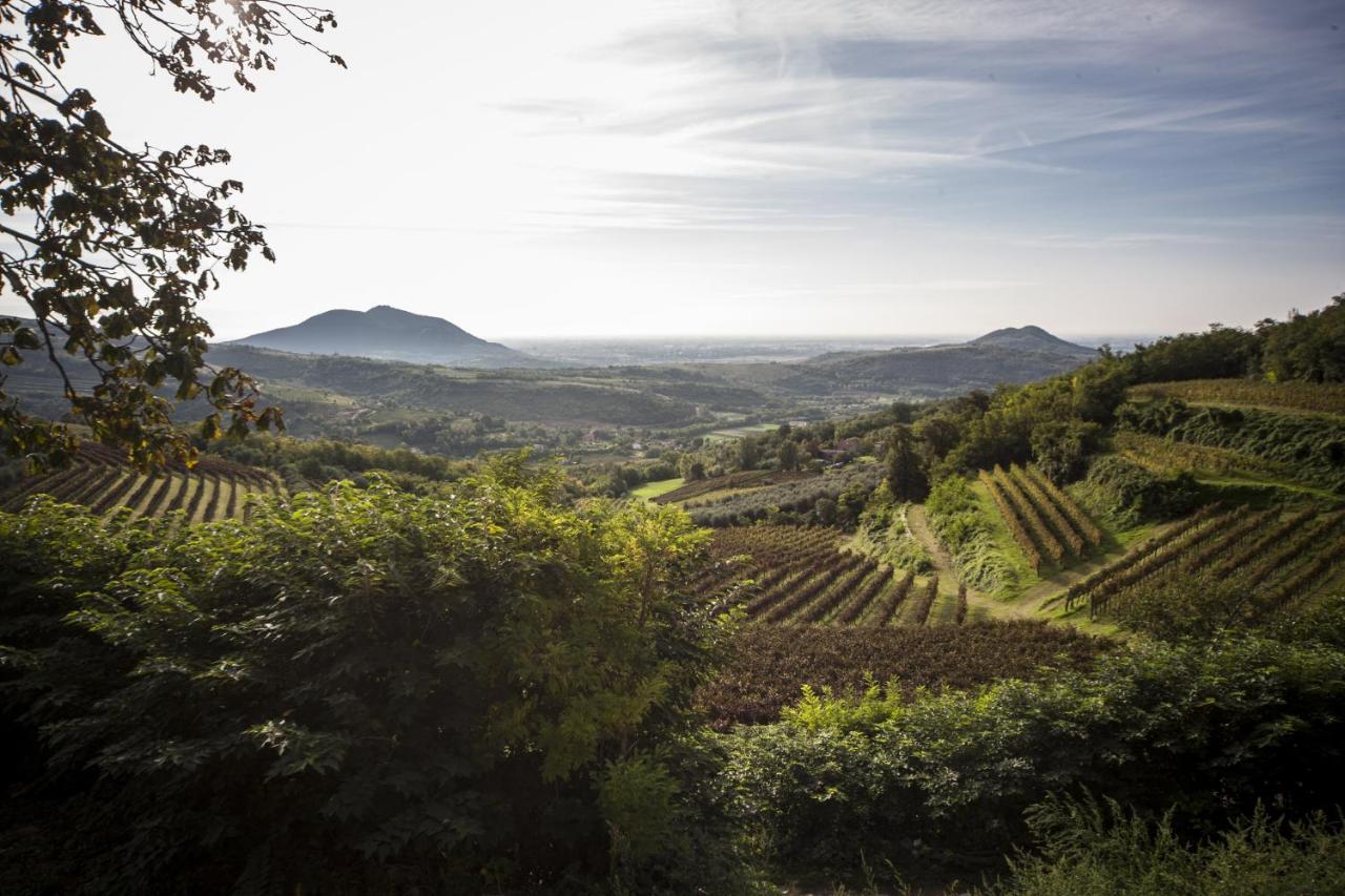 Agriturismo Le Volpi Baone Ngoại thất bức ảnh